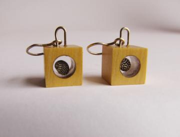 earrings Piquia Amarello with Zebra Shells : $35