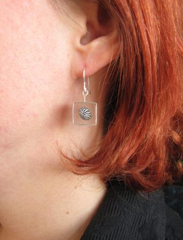 Ear Rings Silver & Zebra Shells : $88