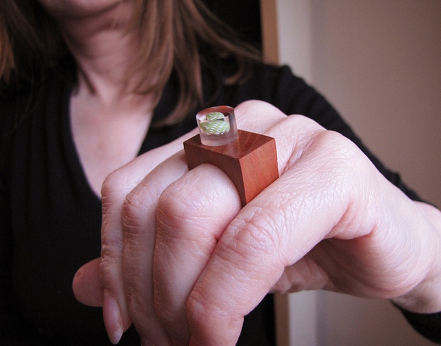 Ring Piquia Amarello with Zebra shell : $30